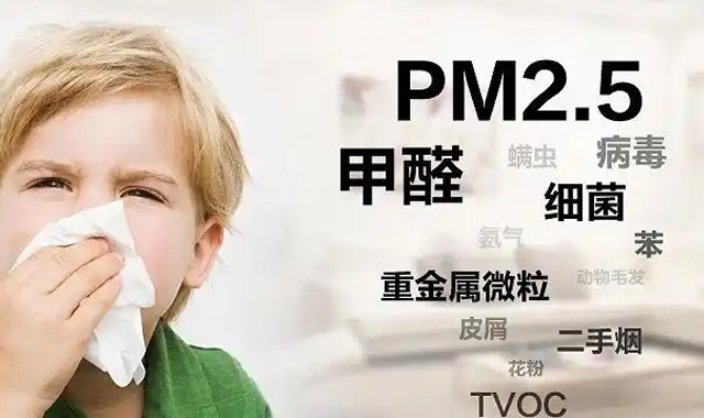 乌鲁木齐除甲醛活性炭